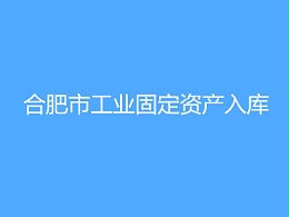 合肥市工业固定资产入库