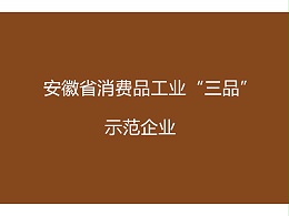 安徽省消费品工业“三品”示范企业申报条件