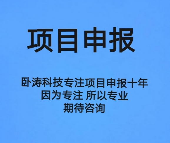 项目申报