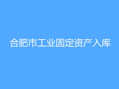 合肥市工业固定资产入库