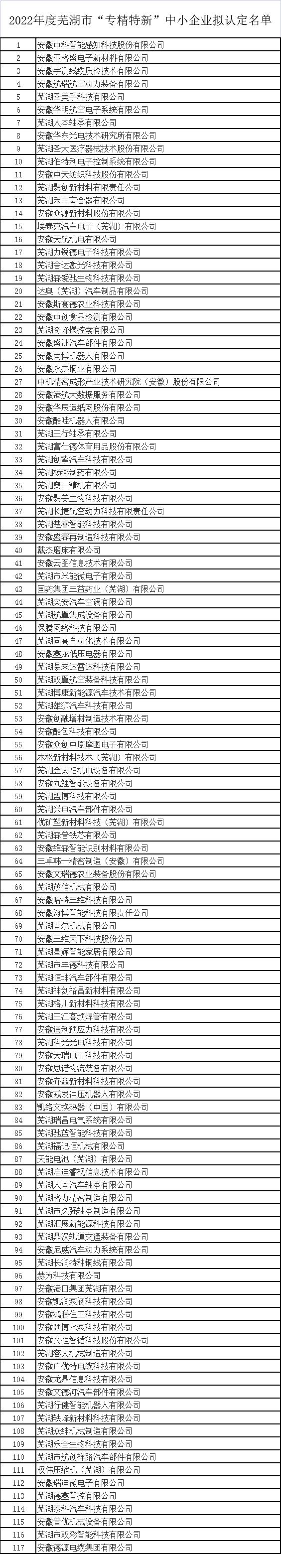 2022年芜湖市专精特新中小企业名单
