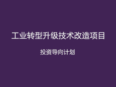 安徽省工业转型升级技术改造项目投资导向计划申报条件